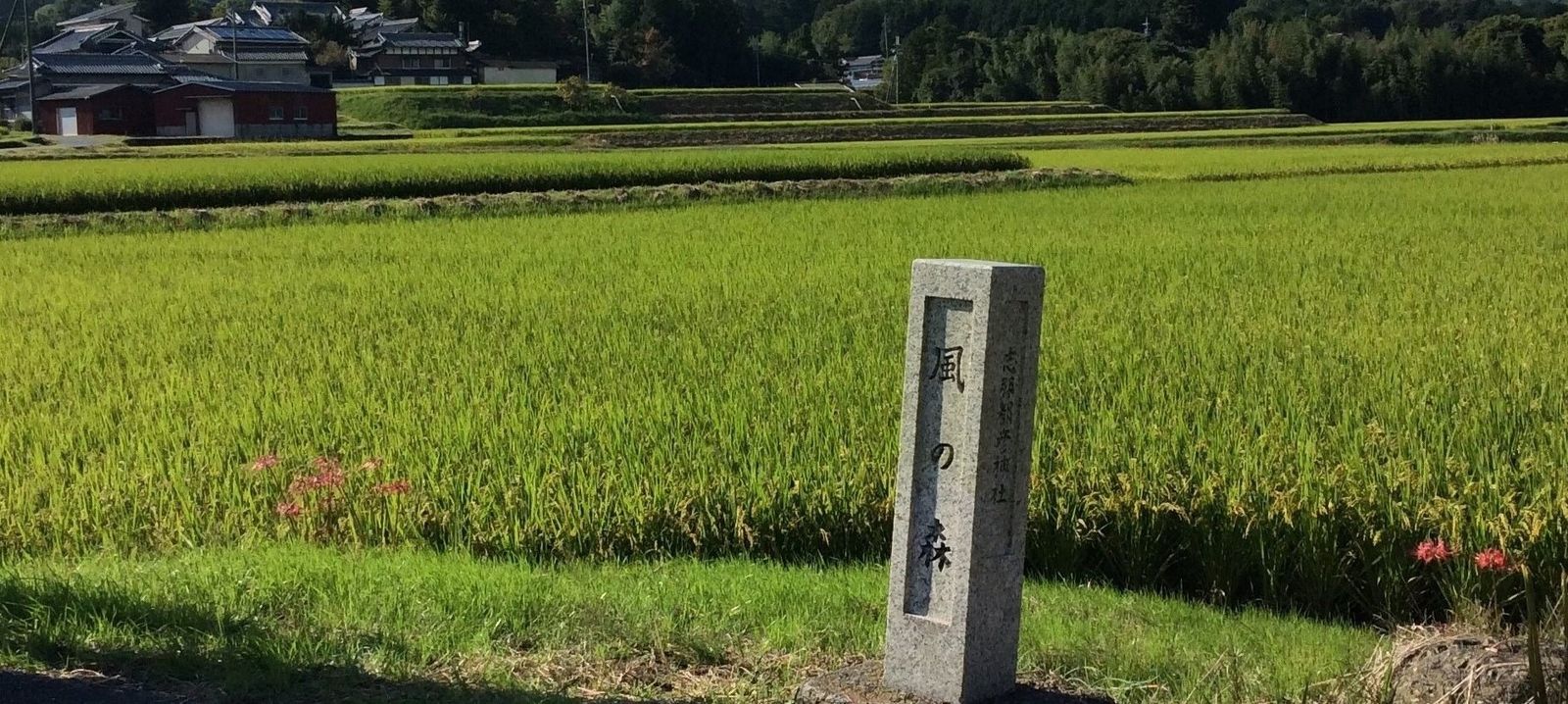 御所市議会議員 川本まさき